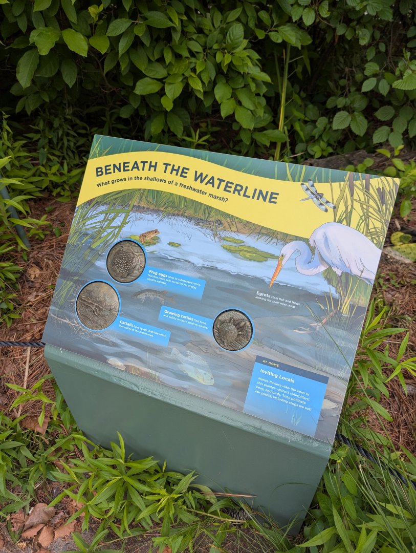 New Waterfront Park Graphics