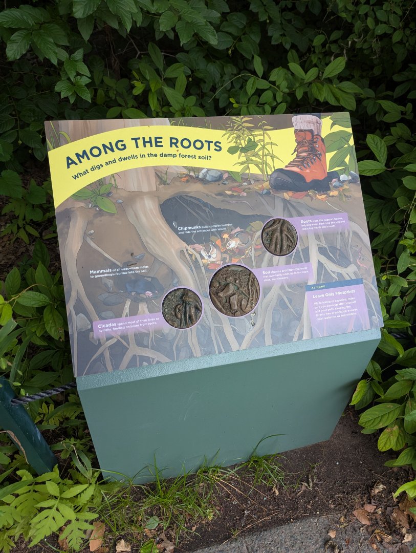 New Waterfront Park Graphics