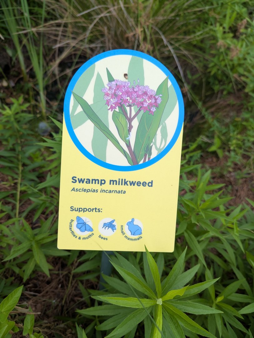 New Waterfront Park Graphics