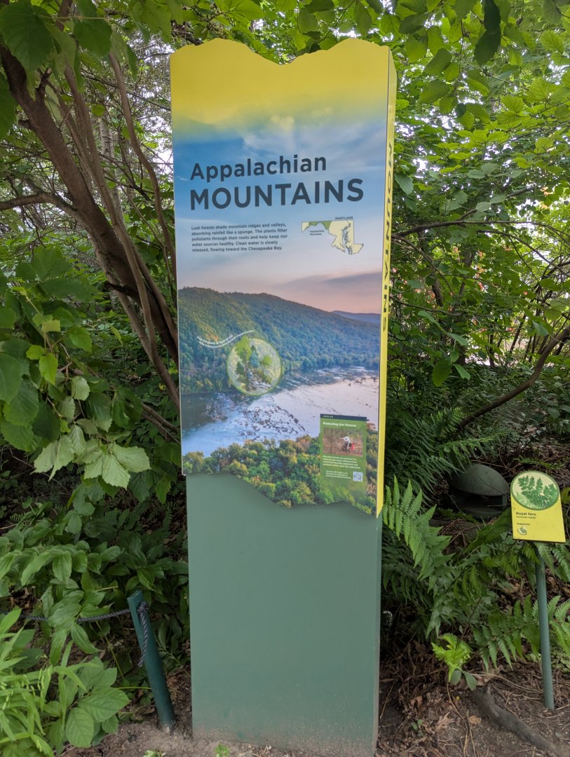 New Waterfront Park Graphics