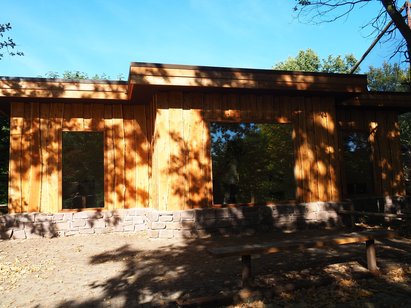 New weaver bird house (Oct 13th, 2018)