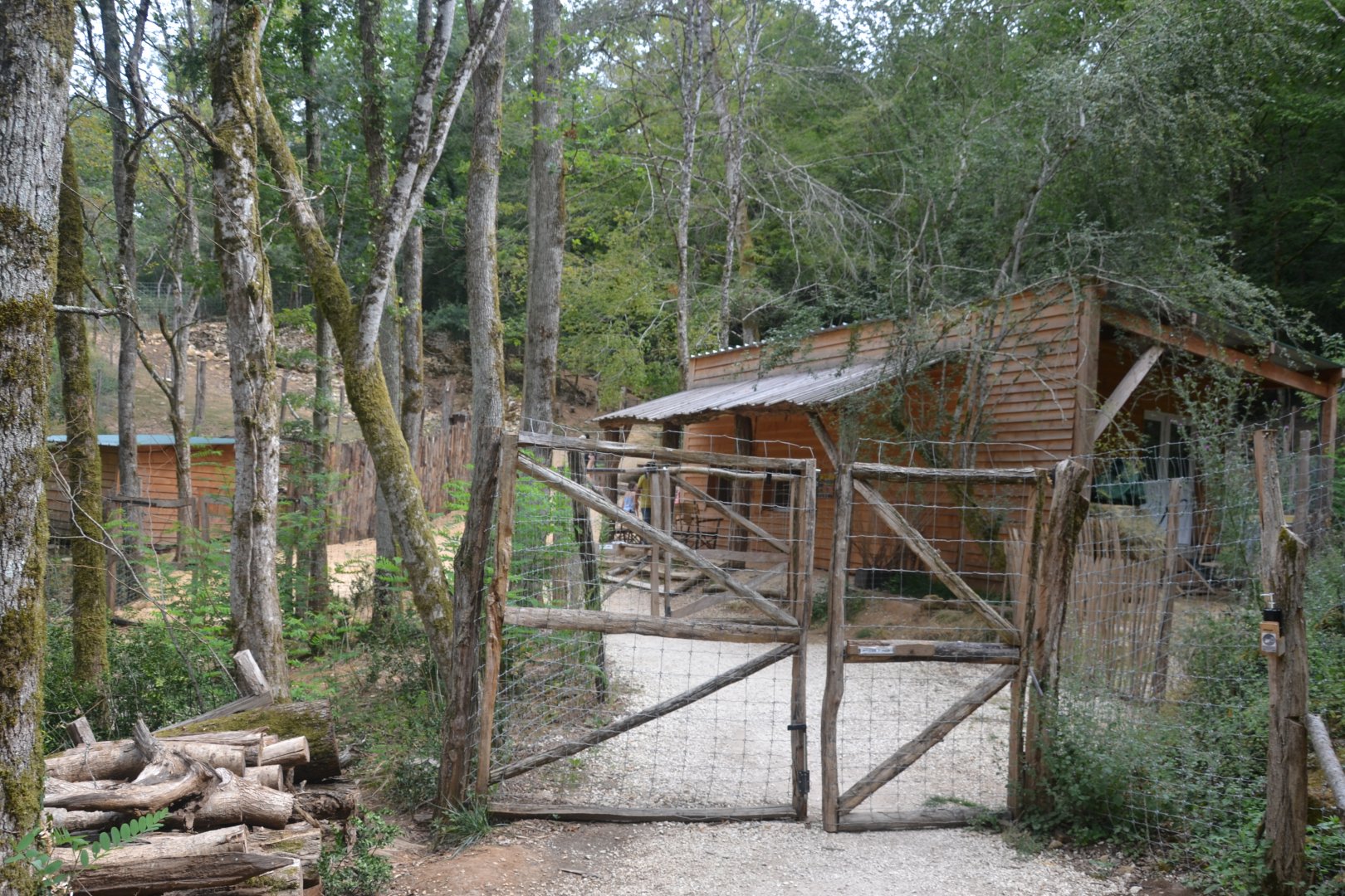 New Western Africa area