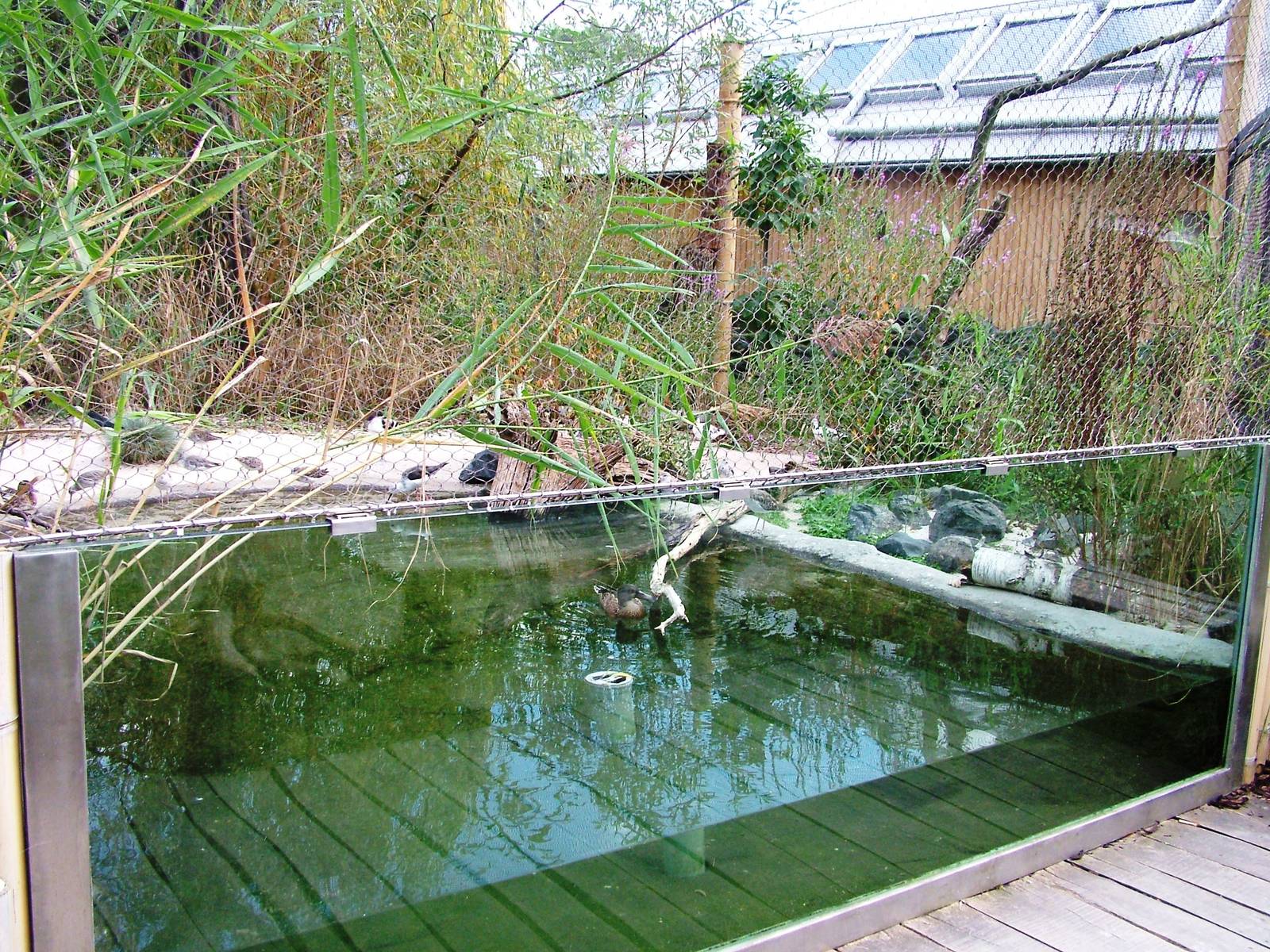 New Wetland Aviaries at Prague, 25/08/12