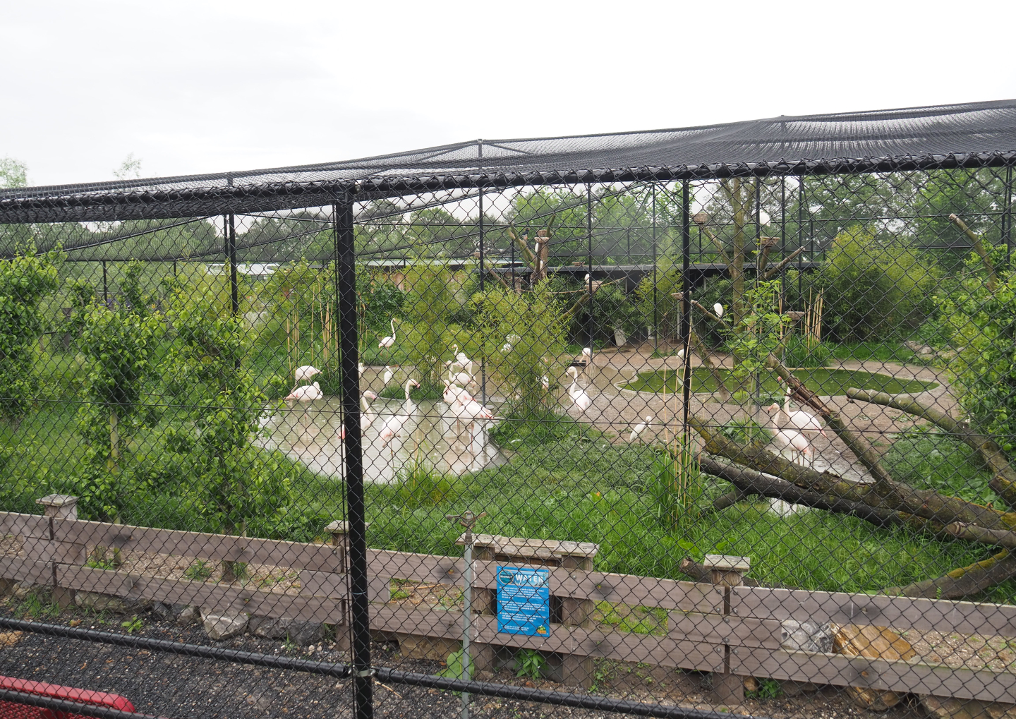 New wetland aviary, 2022-05-17