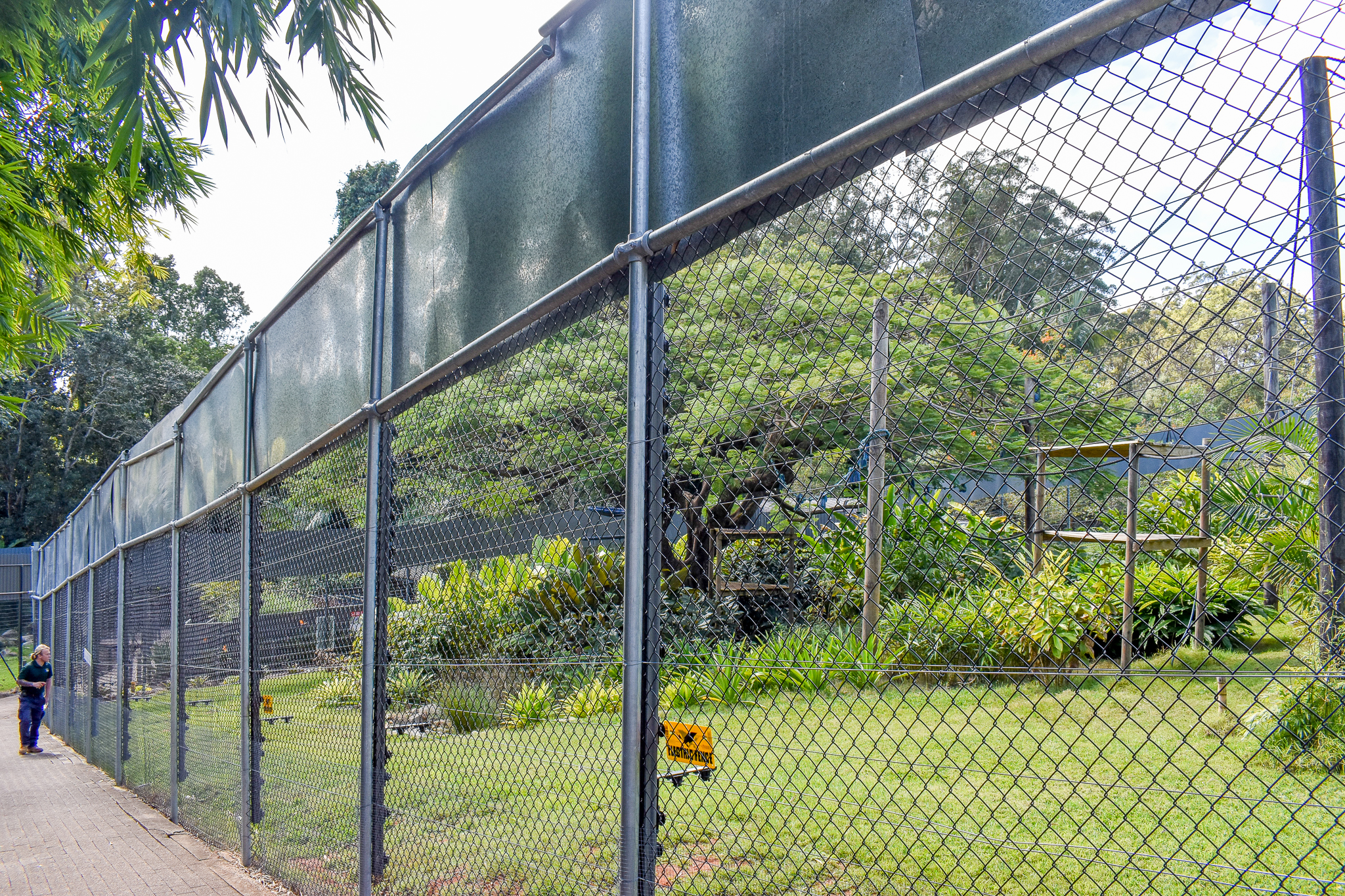 New White-cheeked Gibbon Enclosure