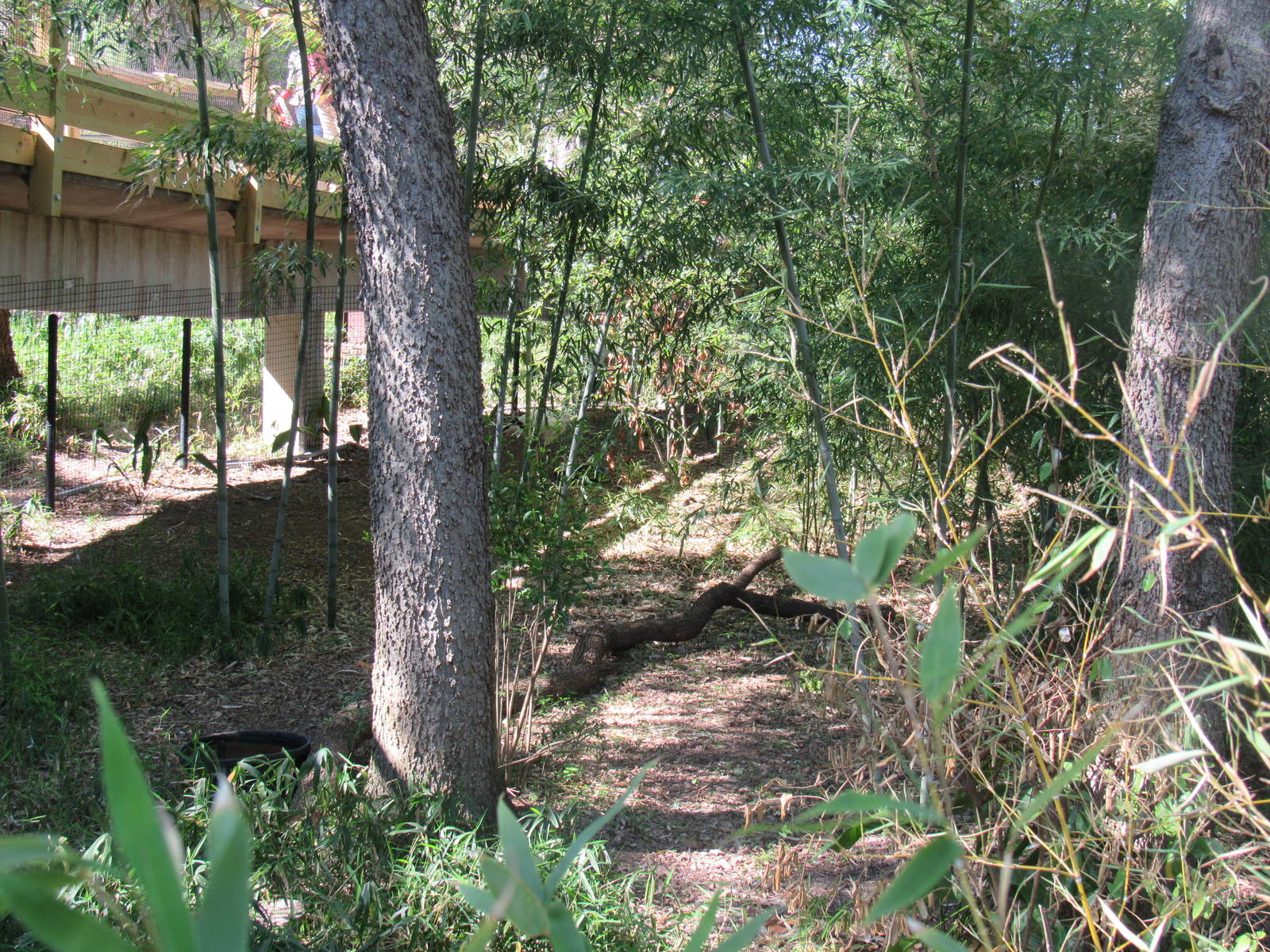 New White Stork Habitat