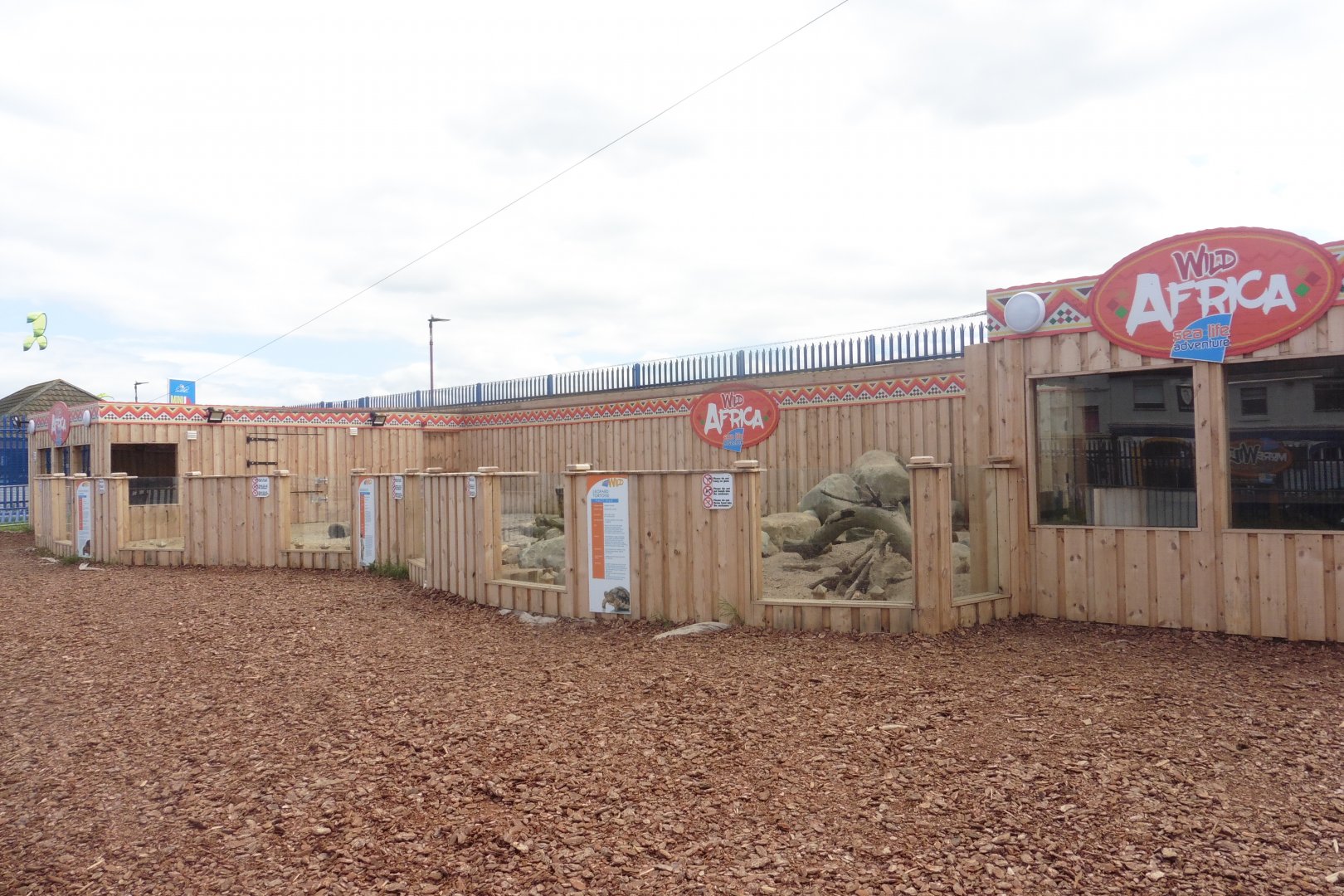 New Wild Africa enclosaure - Meerkats,African Spurred Tortoise,Leopard Tortoise