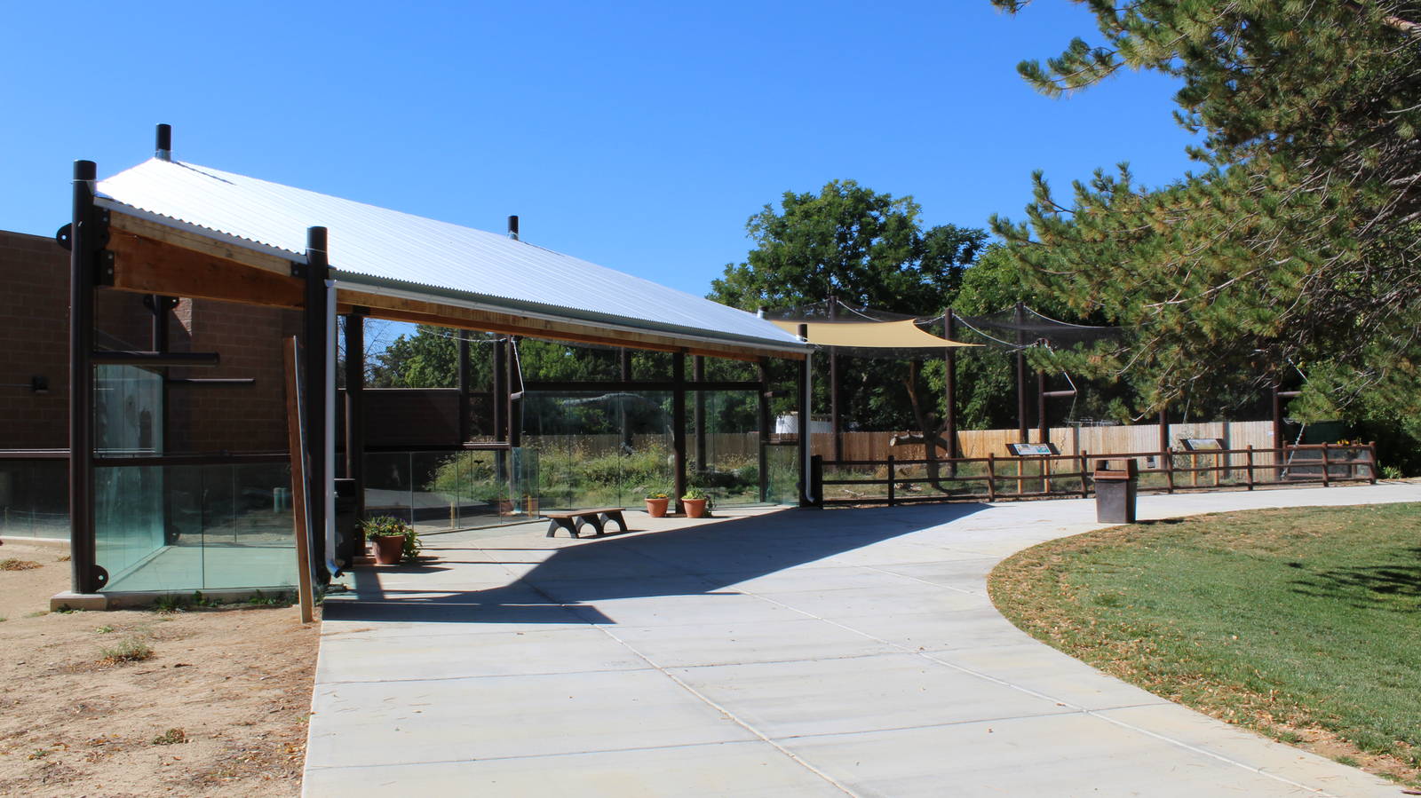 New Wild Dog Exhibit 2016