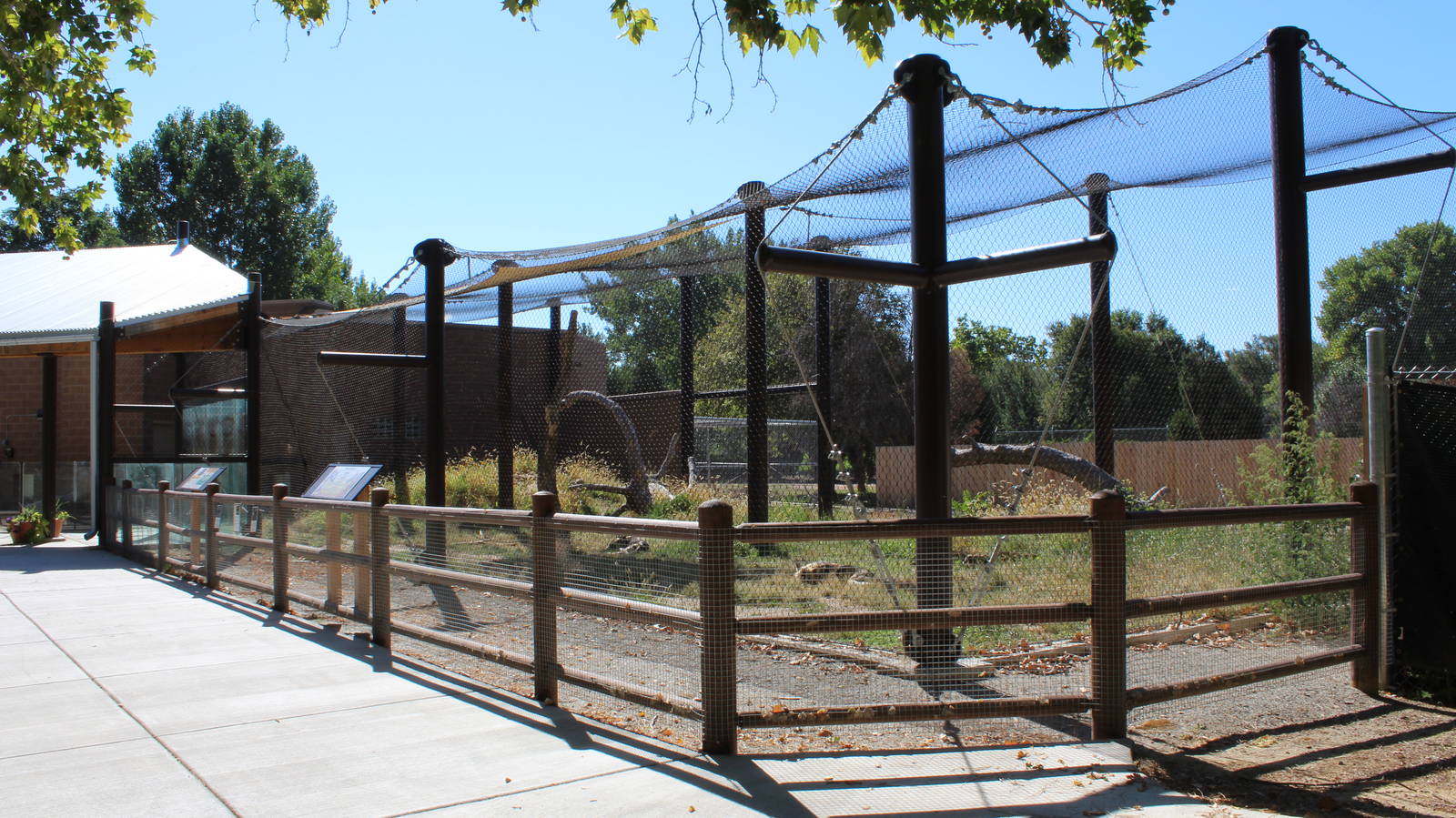 New Wild Dog Exhibit 2016