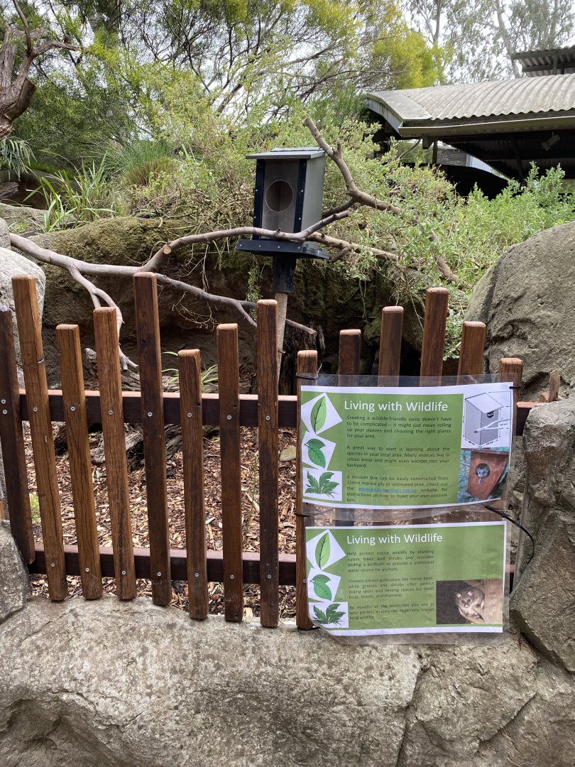 New Wild Possum Nestbox