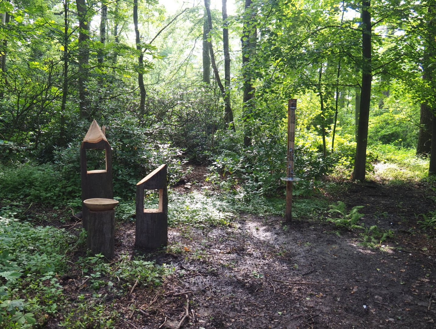 New wildlife bathing and feeding area, 2021-07-20