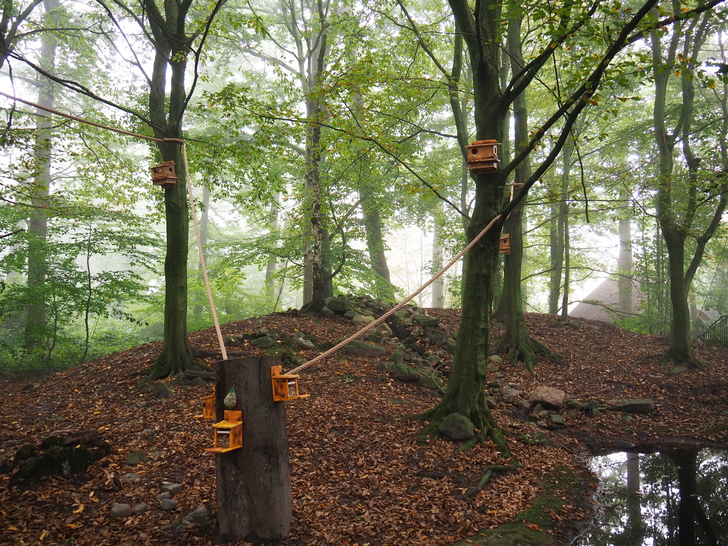 New wildlife feeding and nesting area in the former badger/fox exhibit, 2021-10-10