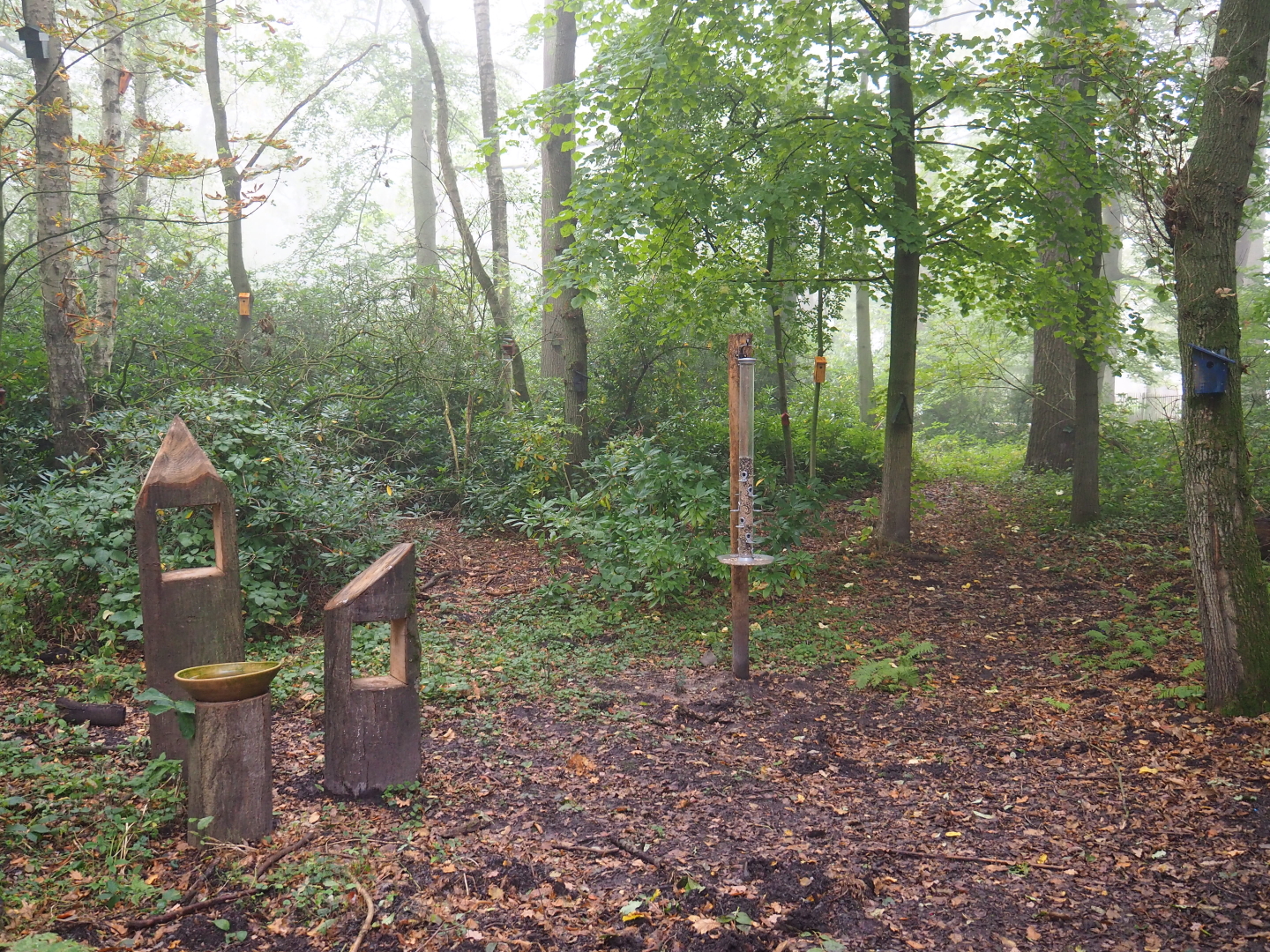 New wildlife feeding, bathing and nesting area, 2021-10-10