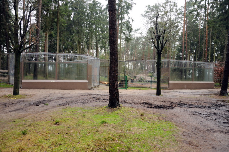 New windows to the wolves at Wildpark Lüneburger Heide