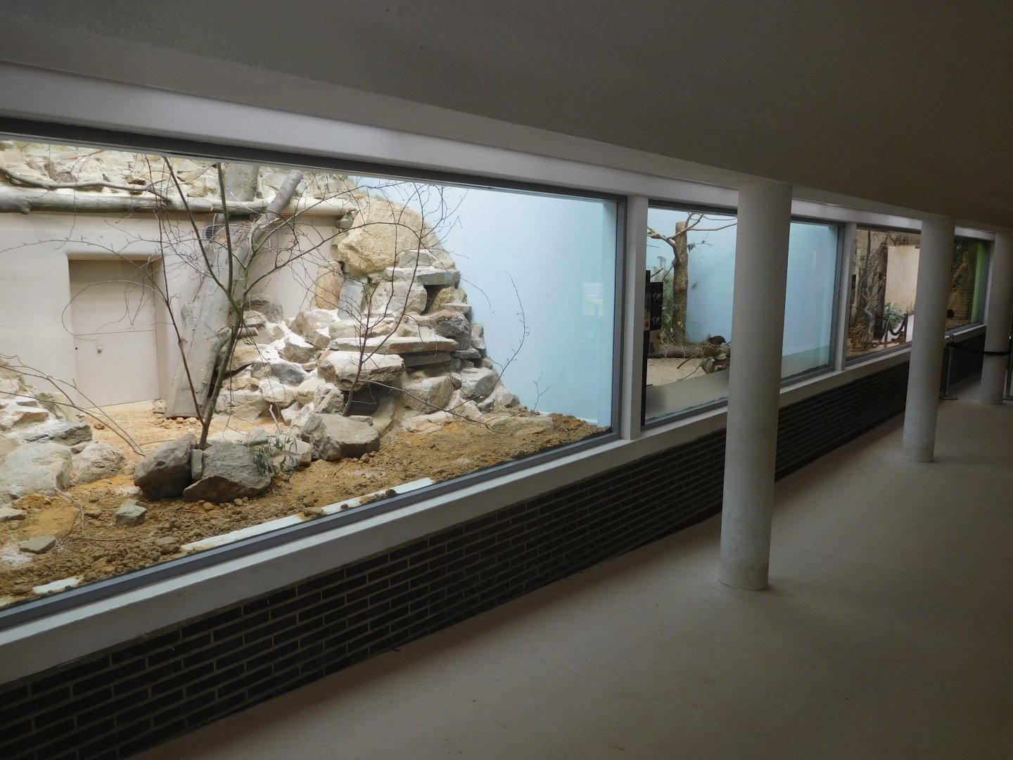 New wing for small mammals in Great Apes House