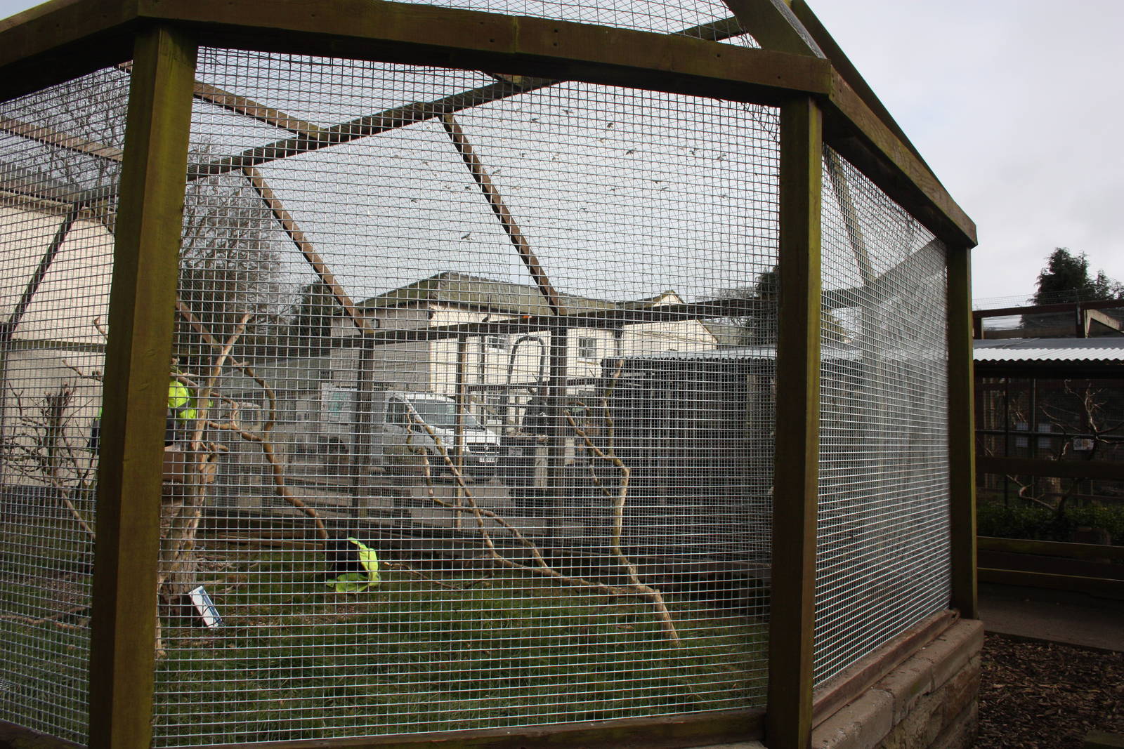 New wire on Macaw aviary, 18th March 2016
