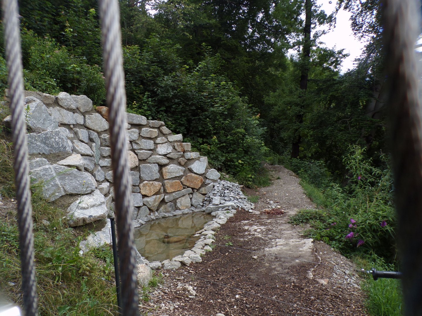 New wolf enclosure 9.7.25