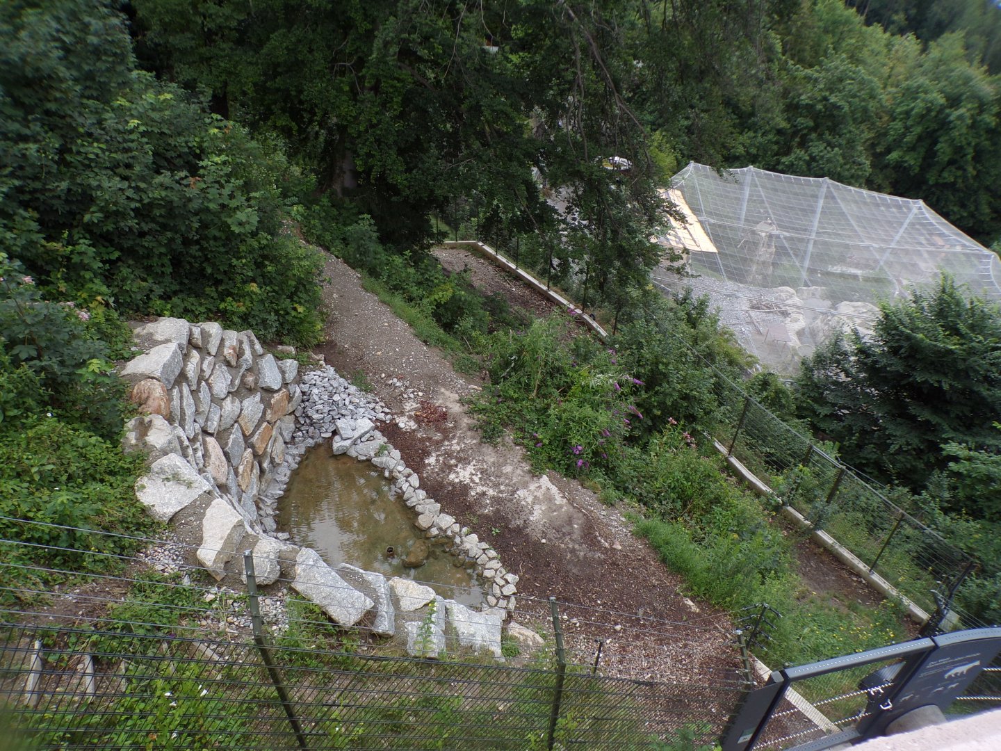 New wolf enclosure 9.7.25