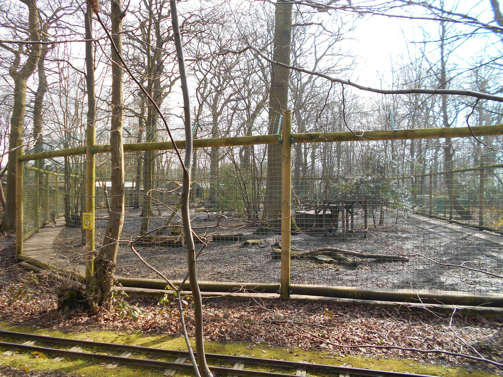 New Wolf Enclosure - March 11th 2016