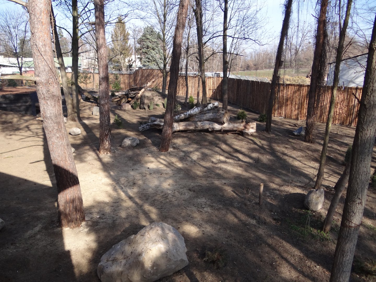 New wolf enclosure