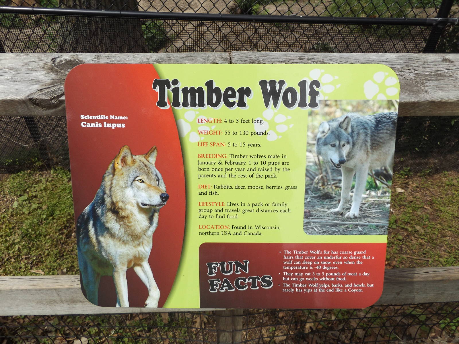 New Wolf Info Sign