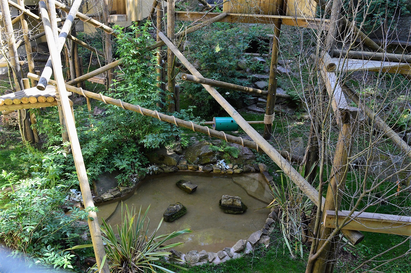 New wolverine enclosure