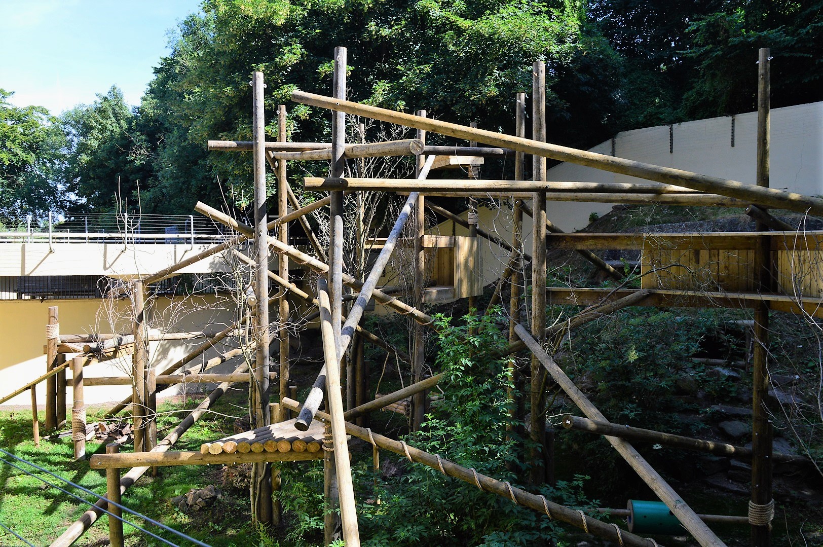 New wolverine enclosure