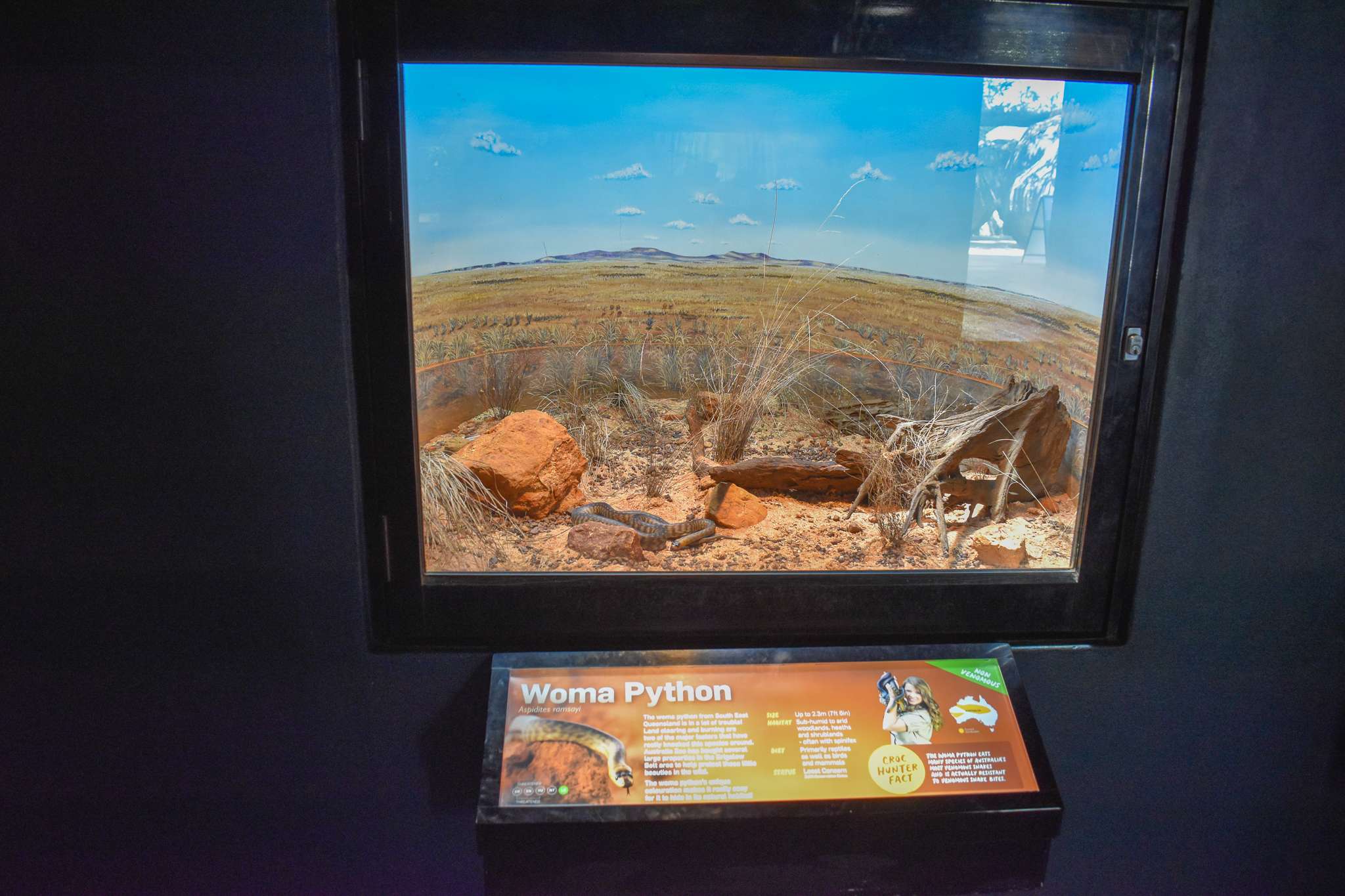 New Woma Python Enclosure