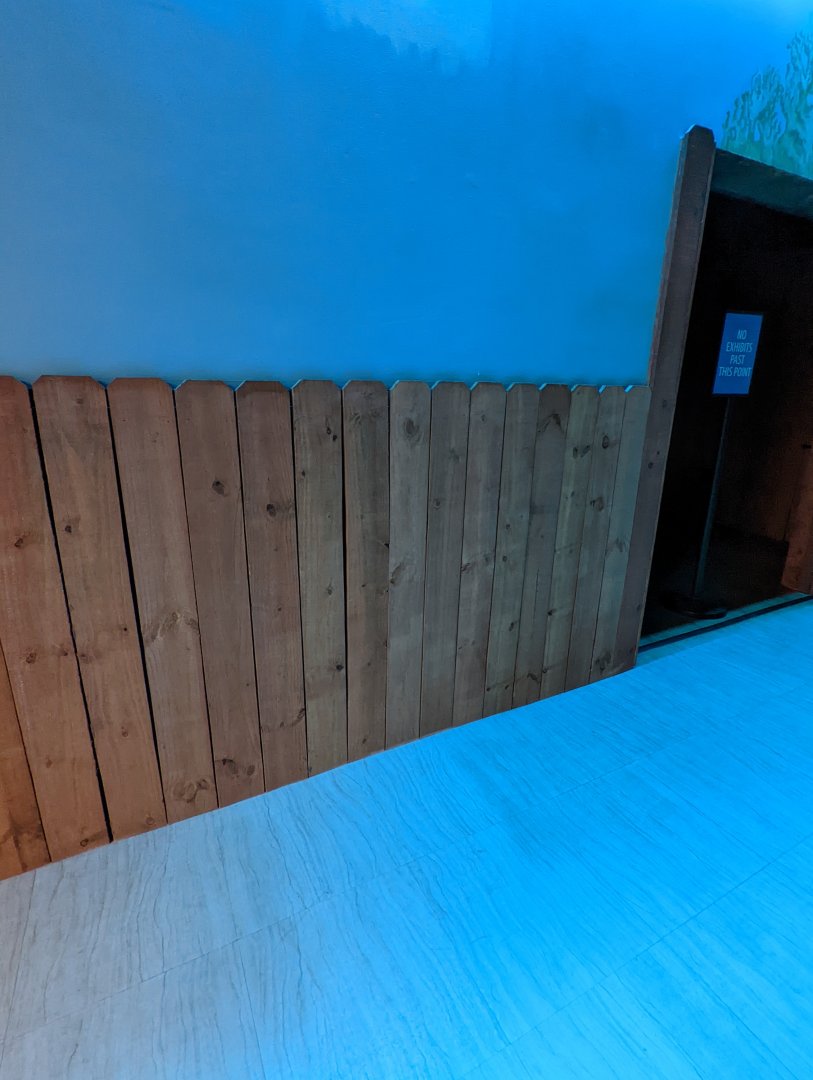 New wood paneling leading up to butterfly exhibit