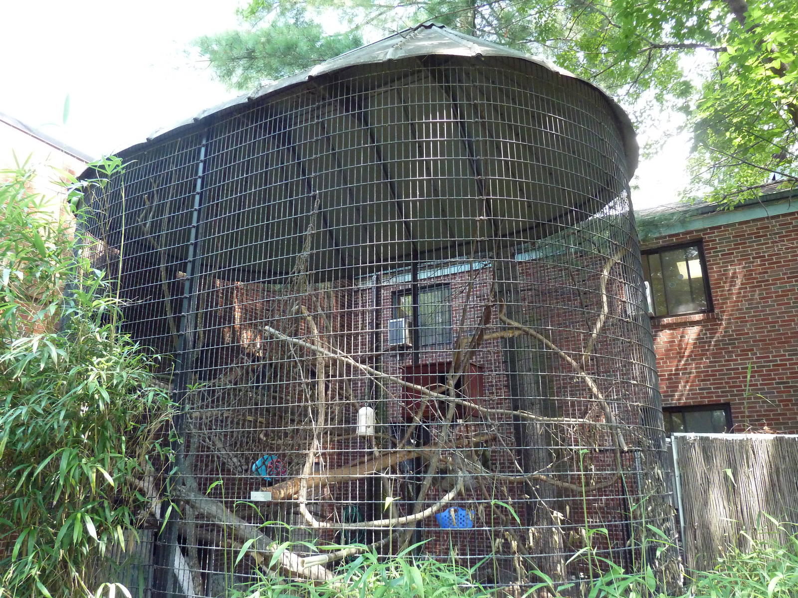 New World Tropics Building - Black Howler Monkey Exhibit