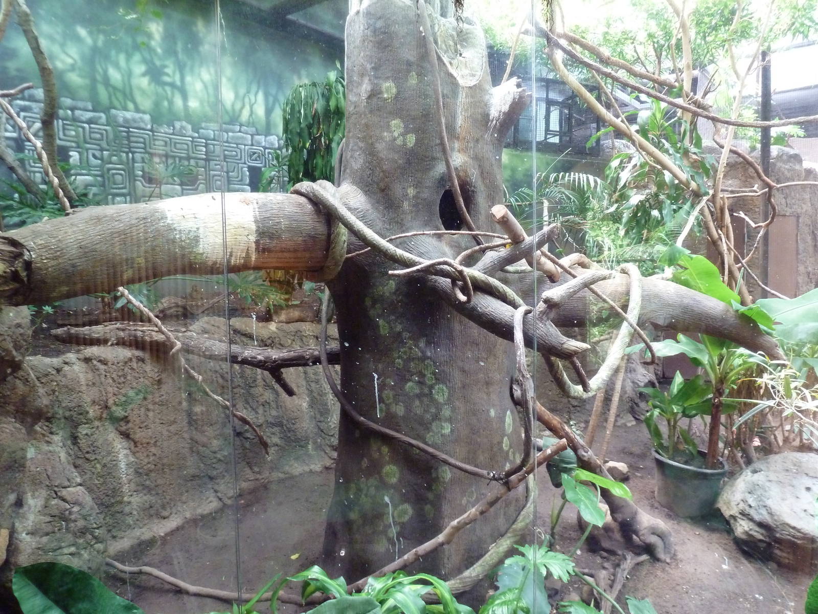 New World Tropics Building