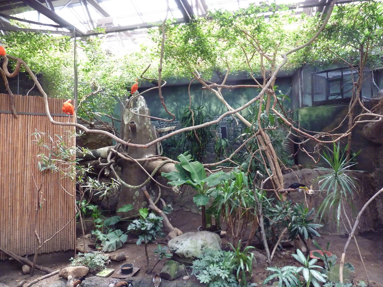 New World Tropics Building