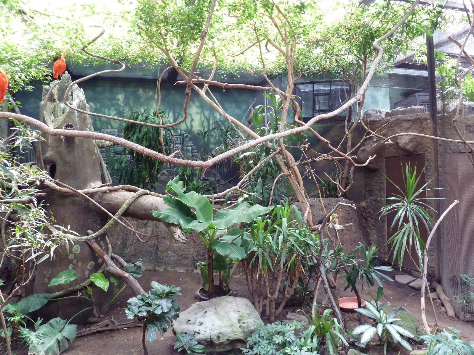 New World Tropics Building