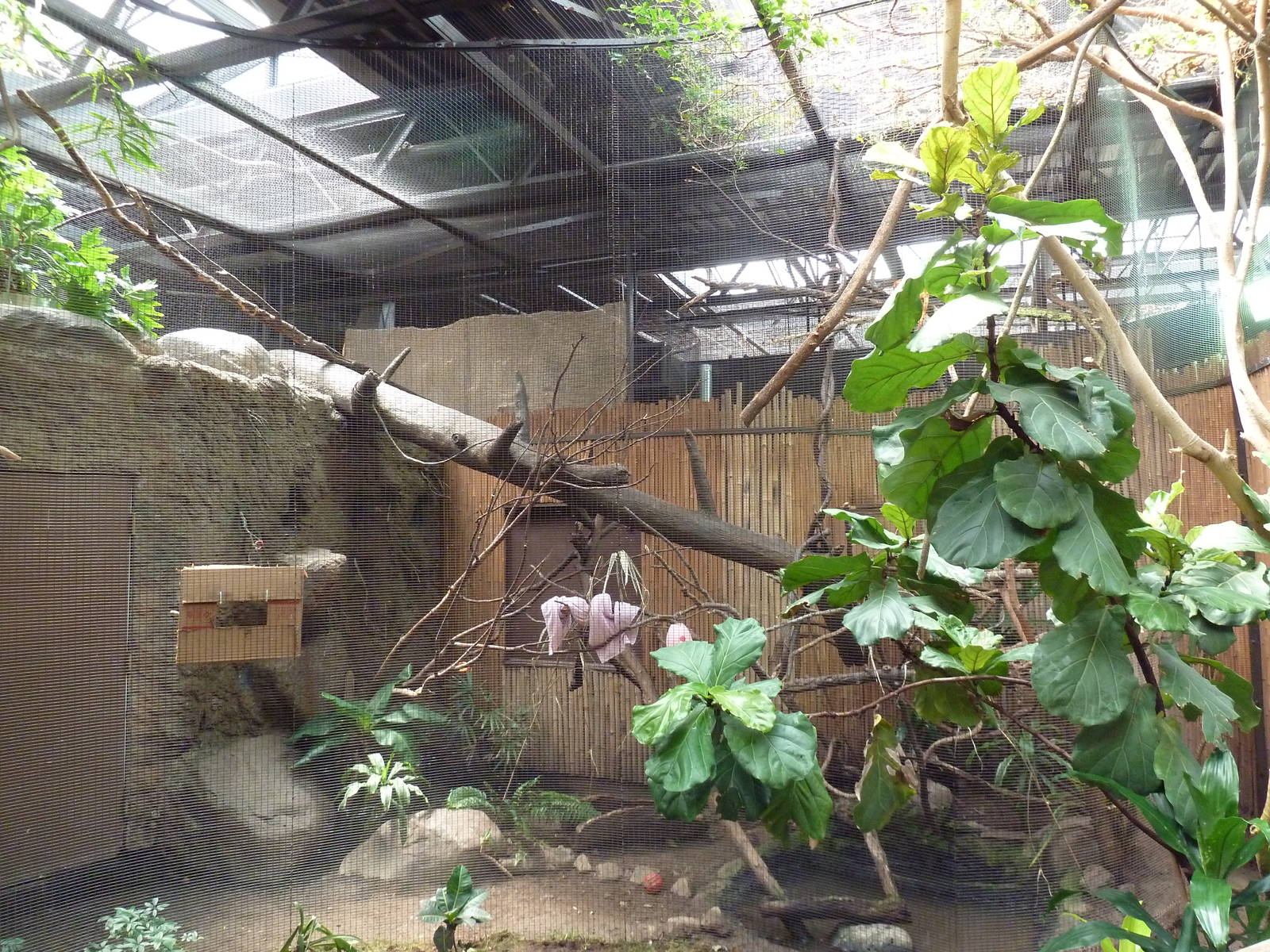 New World Tropics Building