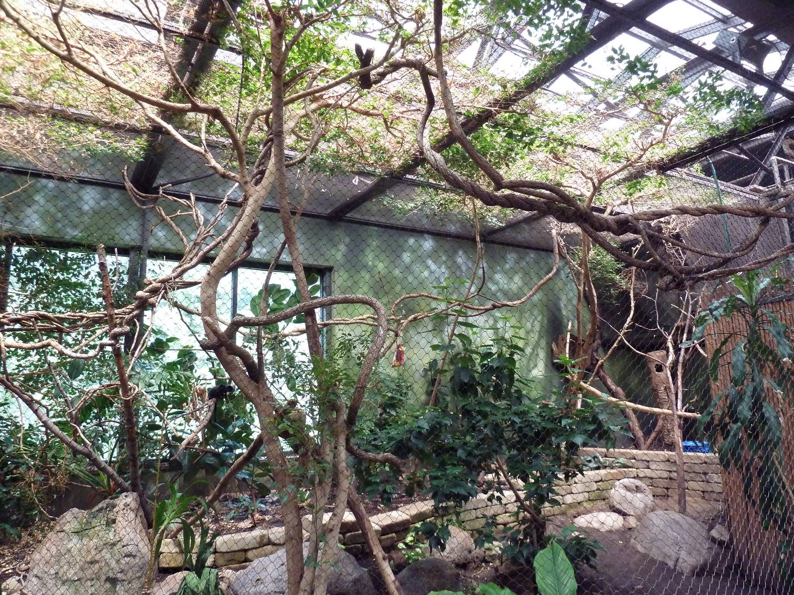 New World Tropics Building