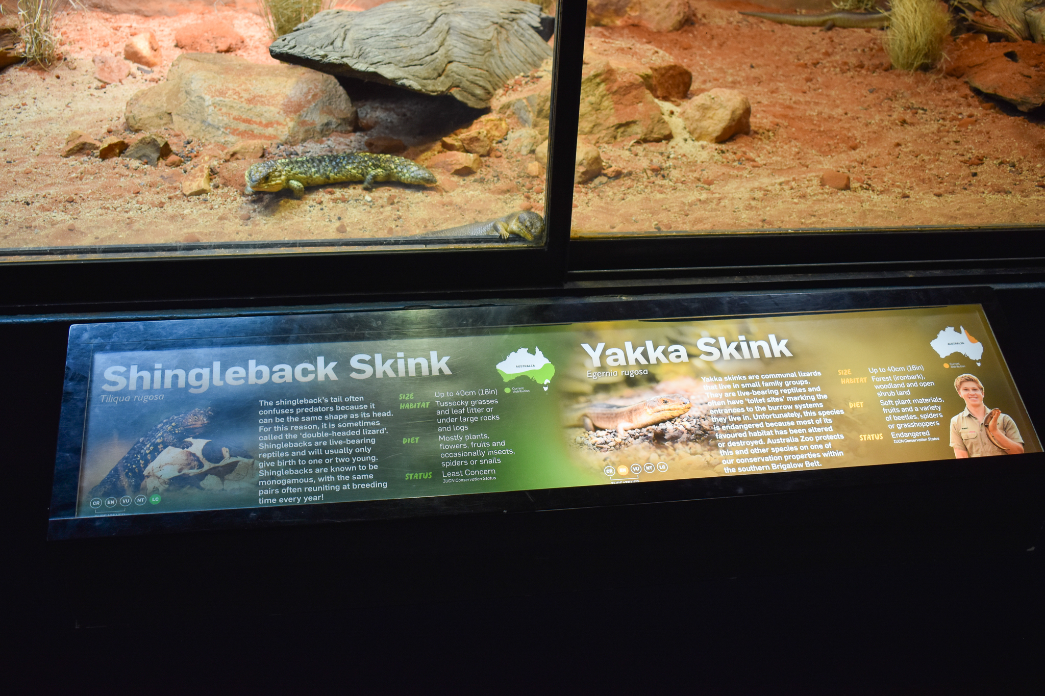 New Yakka Skink/Shingleback Signage