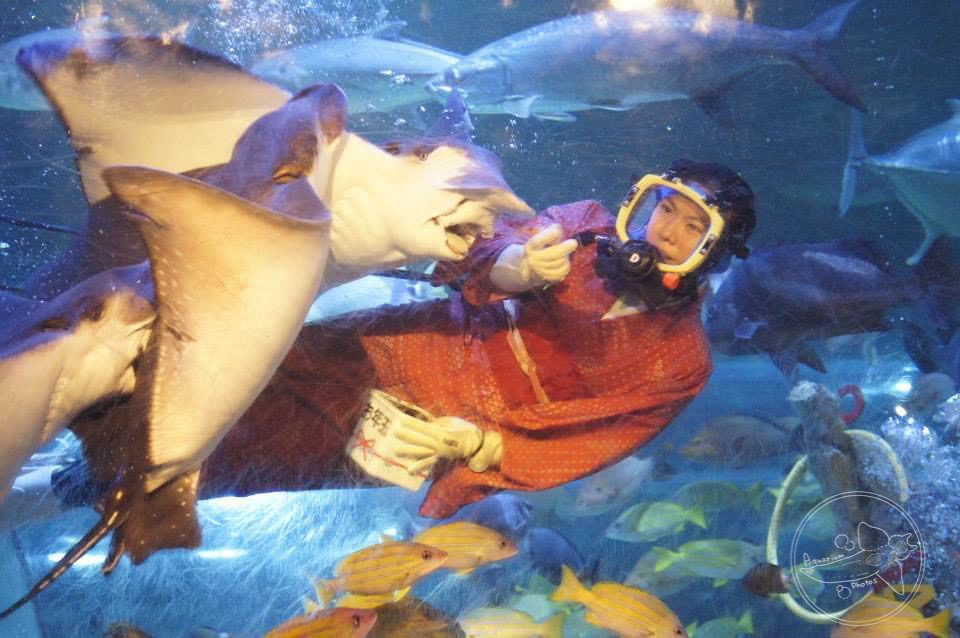 New Year Feeding Show