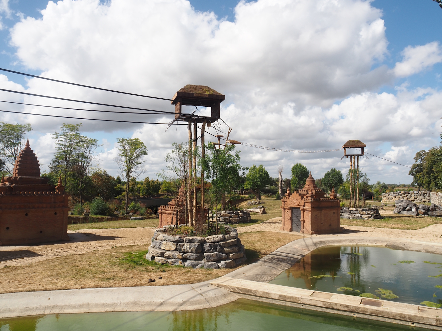 New Yellow-cheeeked gibbon exhibit structures above Asian elephant savanna, 2025-09-01