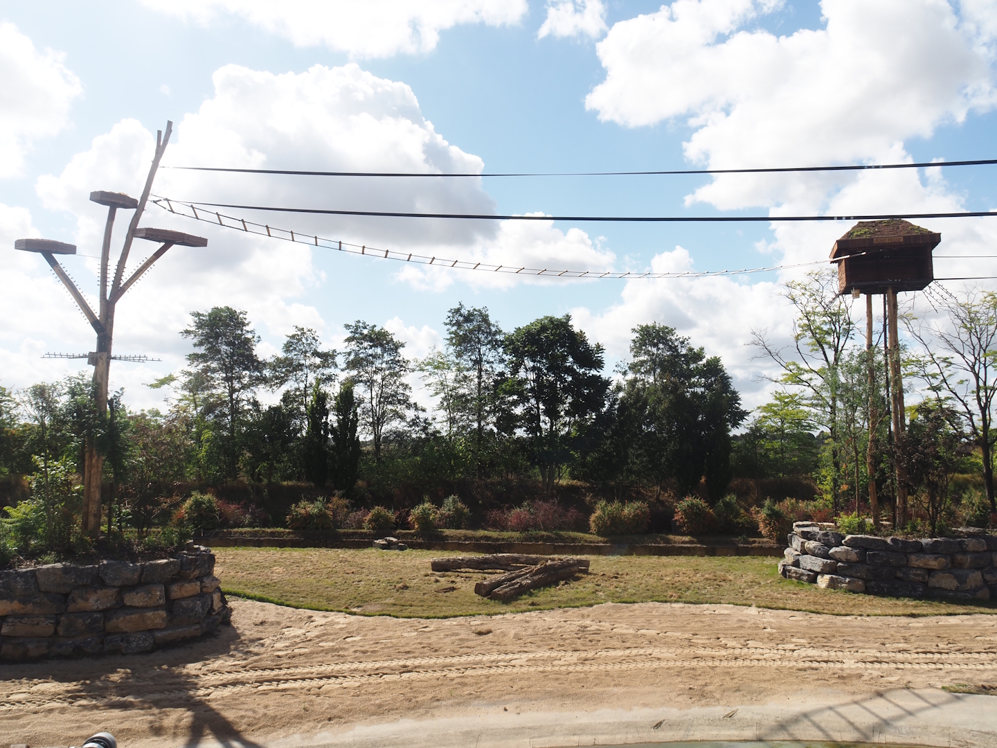 New Yellow-cheeeked gibbon exhibit structures above Asian elephant savanna, 2025-09-01