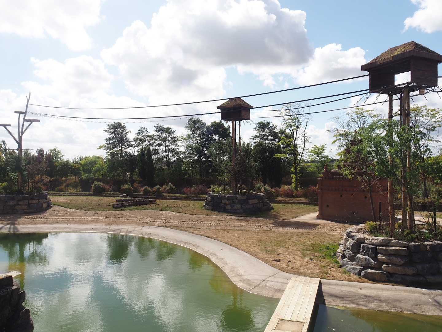 New Yellow-cheeeked gibbon exhibit structures above Asian elephant savanna, 2025-09-01