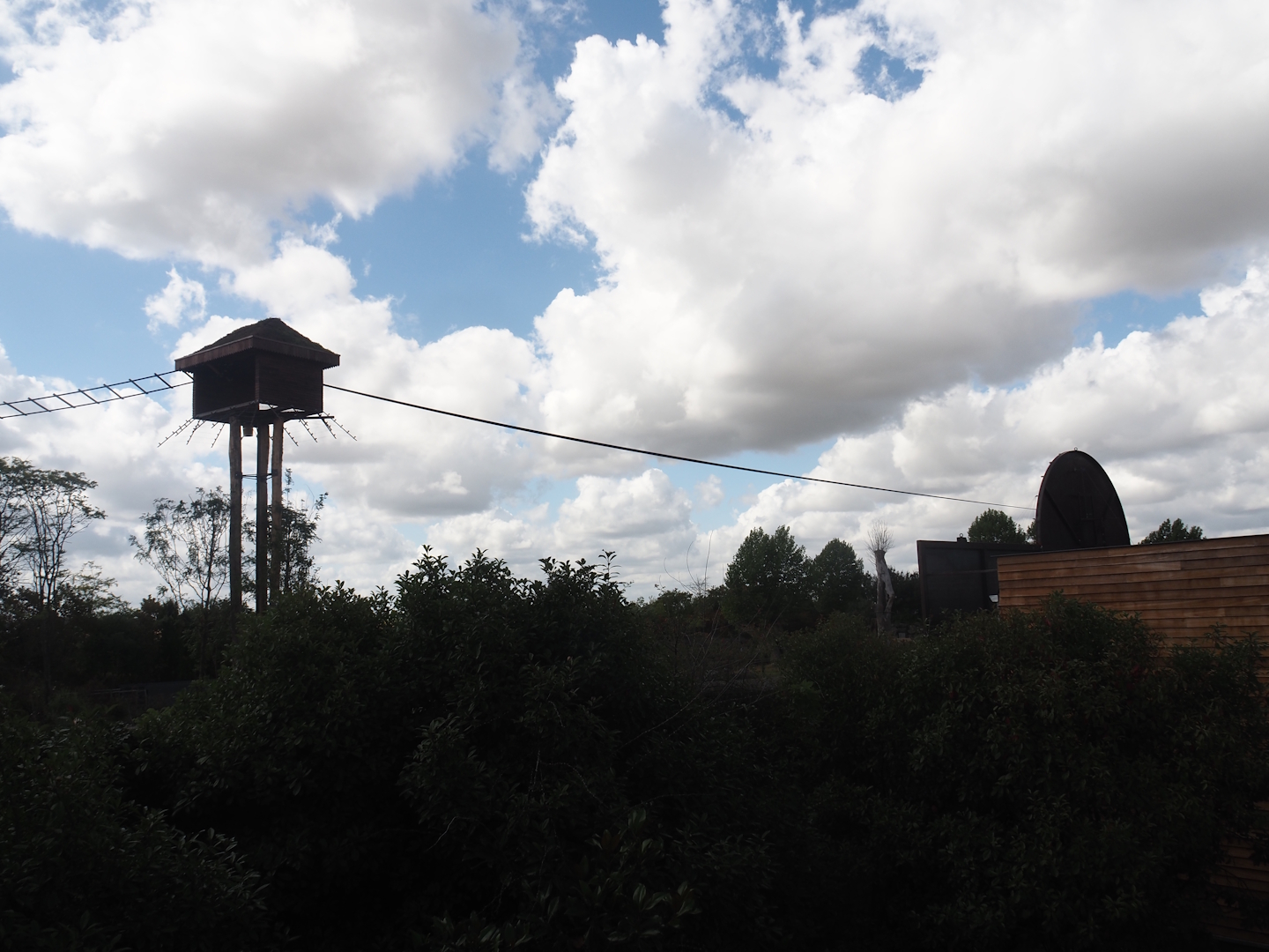 New Yellow-cheeeked gibbon house and exhibit structures above Asian elephant savanna, 2025-09-01