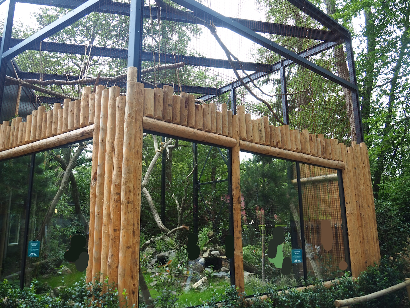 New Yellow-throated marten exhibit under construction, 2023-08-17