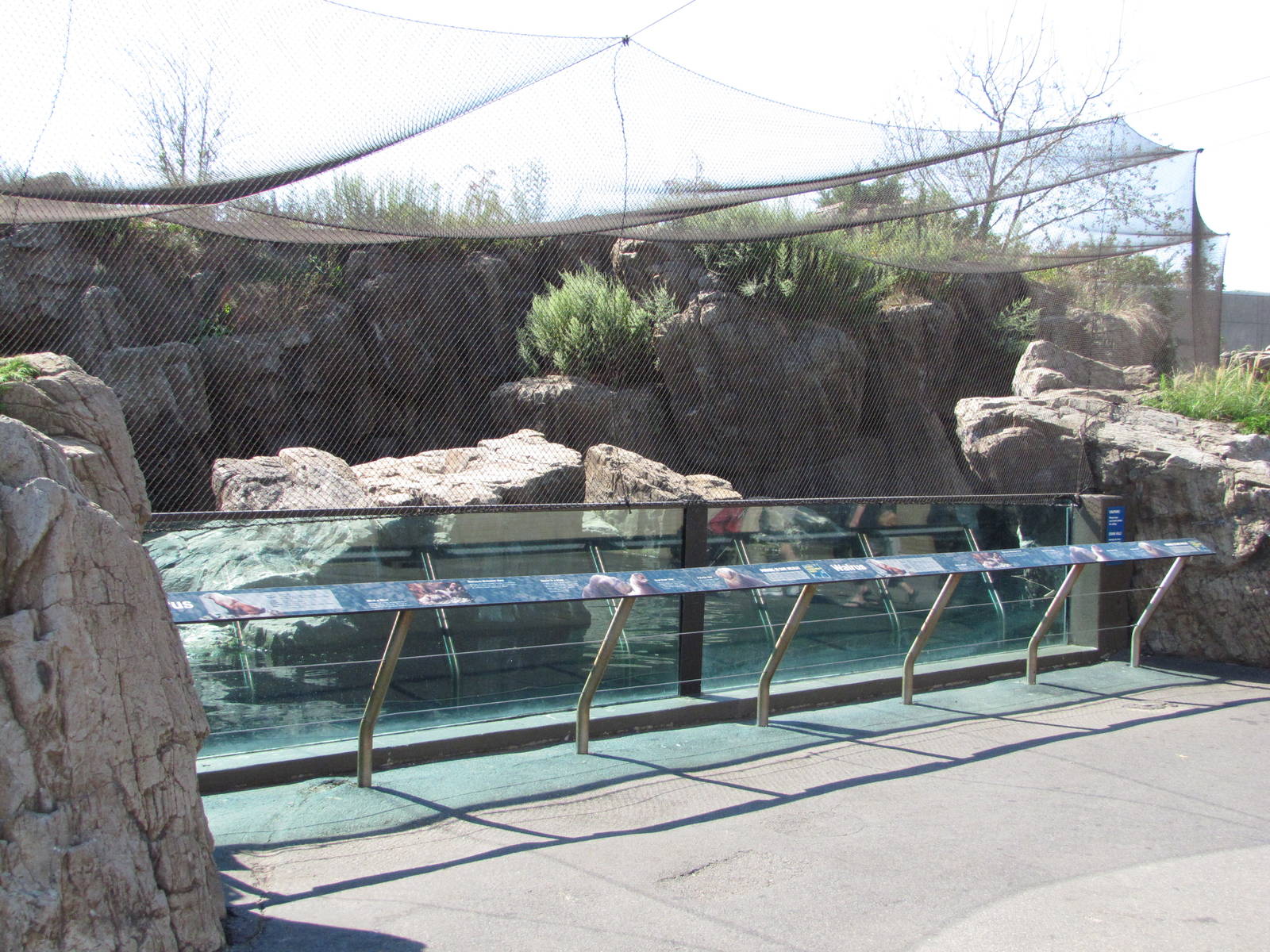 New York Aquarium 2010 - Front of Front of Pacific Walrus exhibit