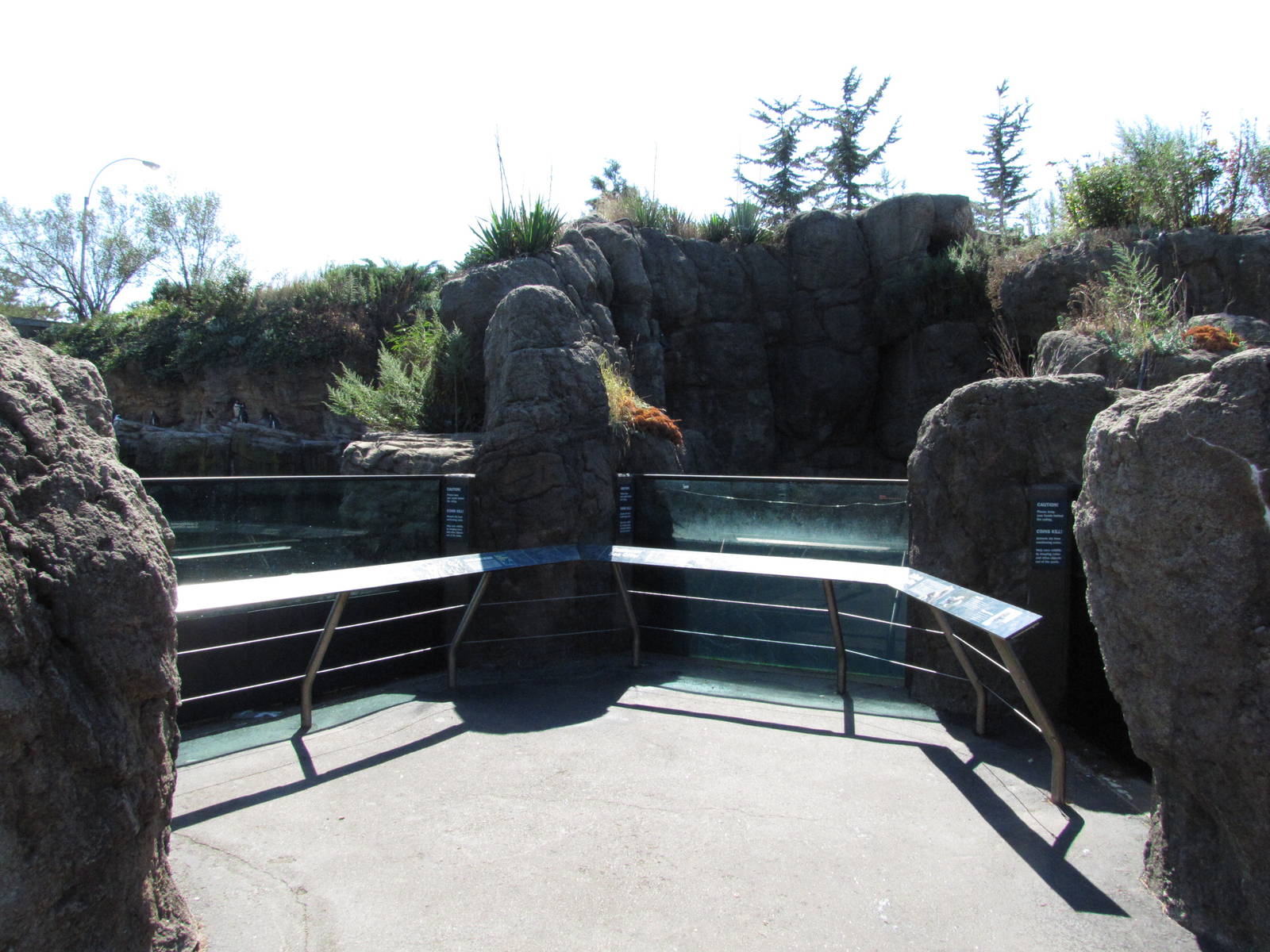 New York Aquarium 2010 - Front of Jackass Penguin and Sea Otter exhibits