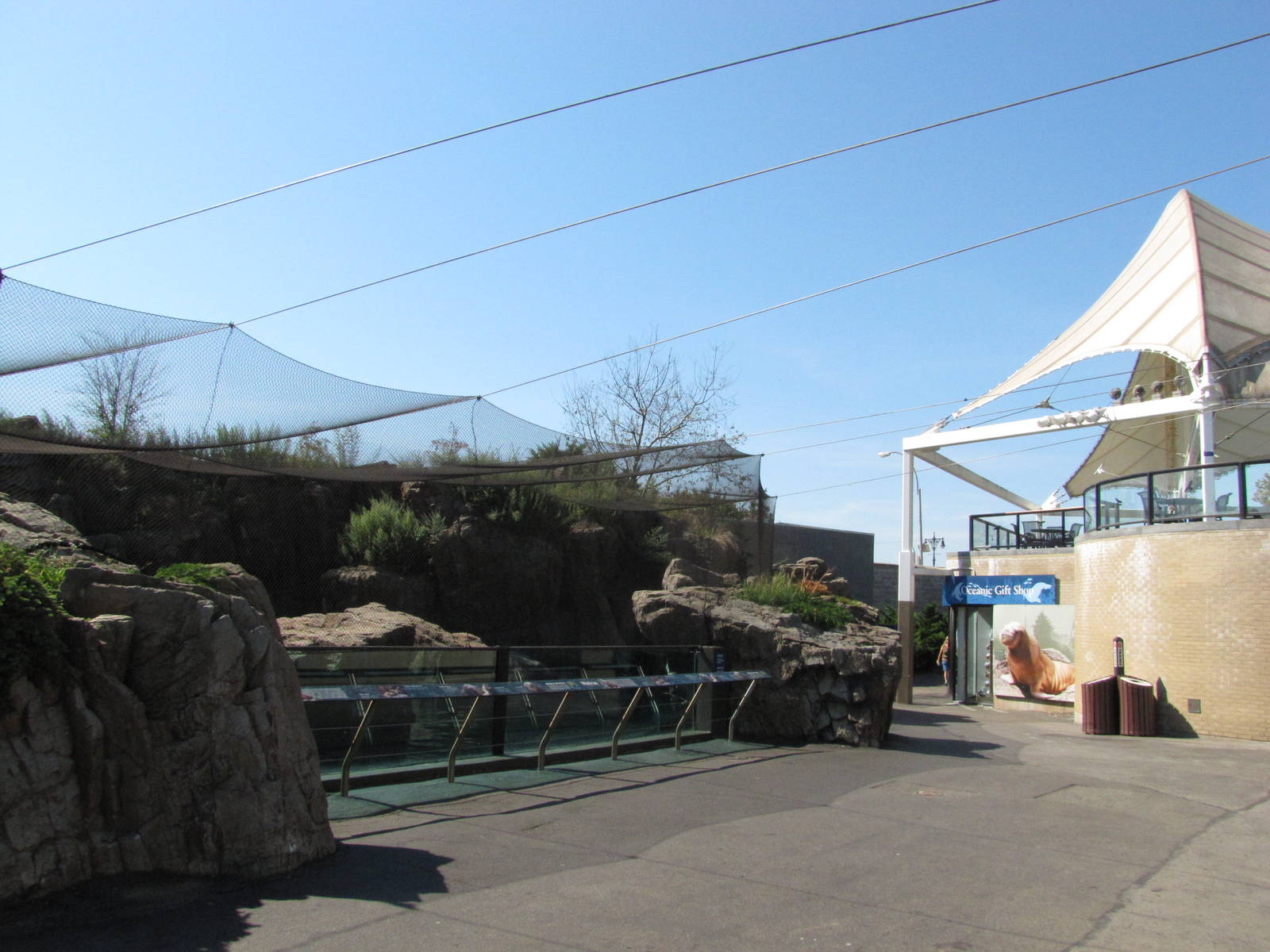 New York Aquarium 2010 - Front of Pacific Walrus exhibit
