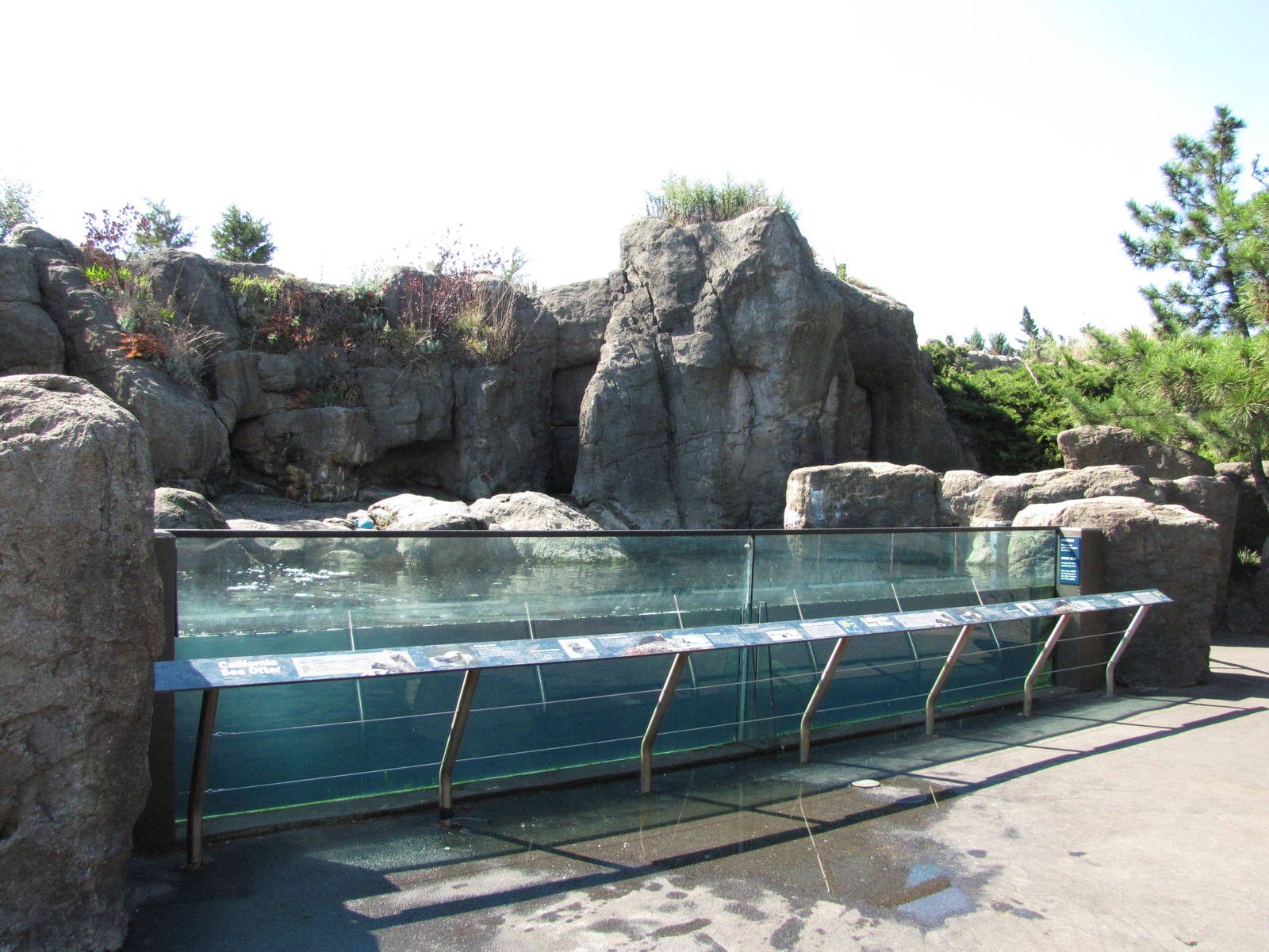 New York Aquarium 2010 - Front of Sea Otter exhibit