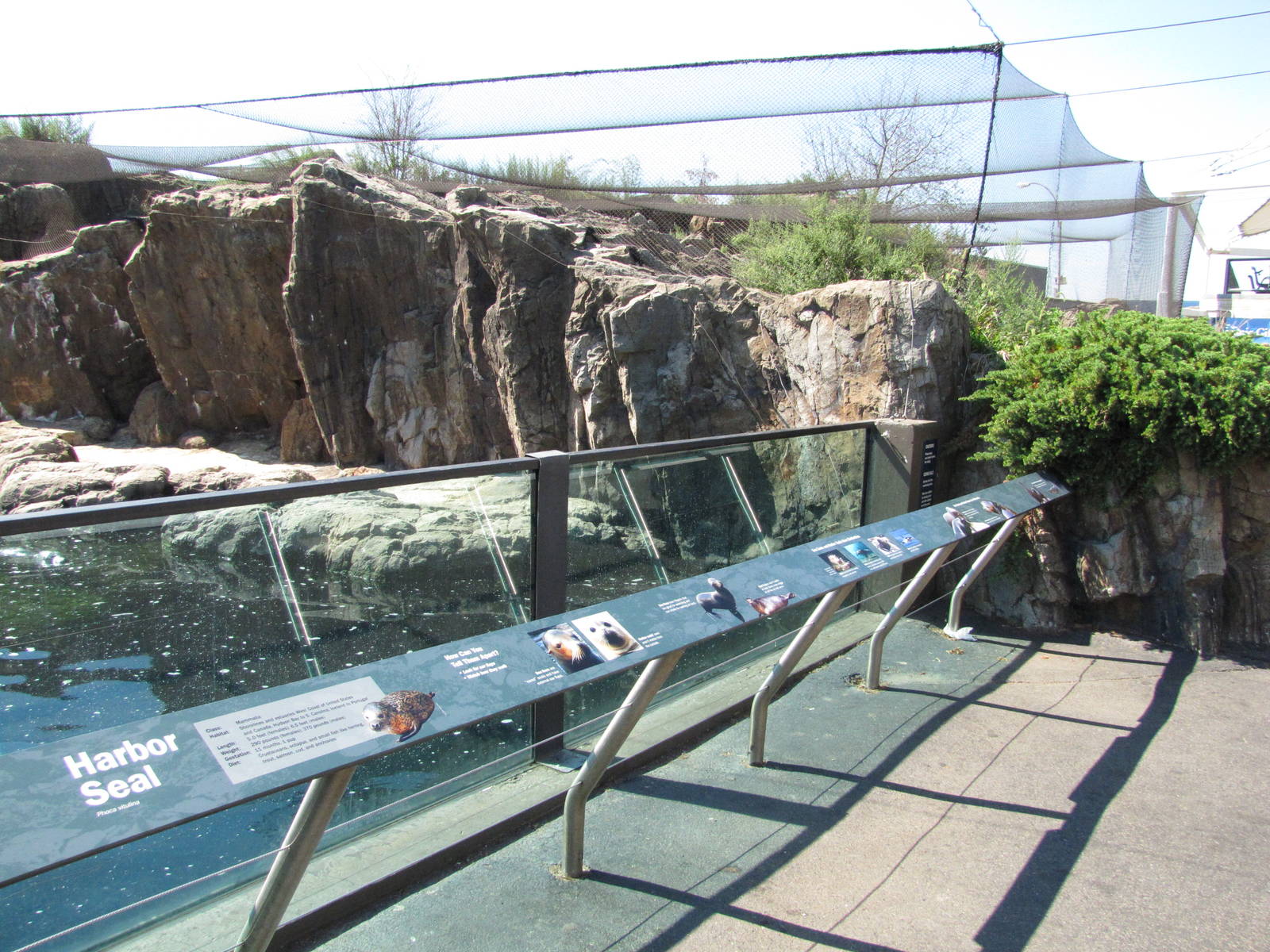 New York Aquarium 2010 - Front of Seal and Sea Lion exhibit