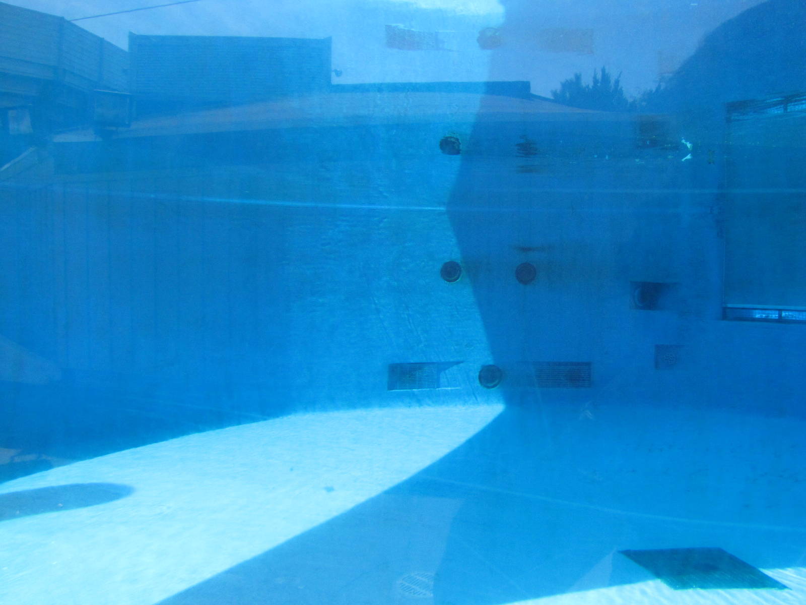 New York Aquarium 2010 - Inside former Beluga exhibit