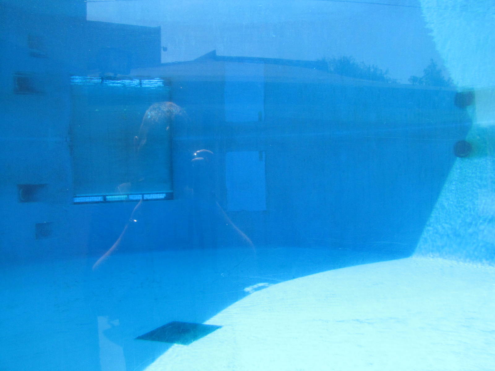 New York Aquarium 2010 - Inside former Beluga exhibit