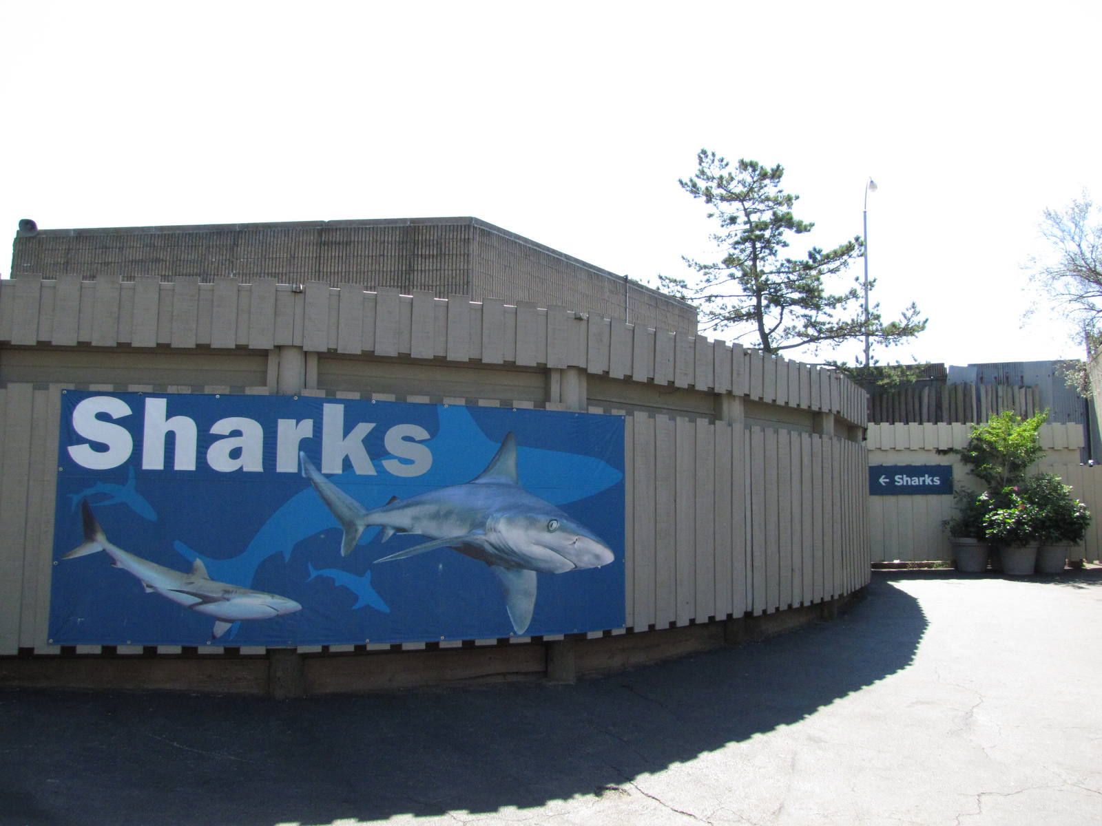 New York Aquarium 2010 - Outside Sharks building